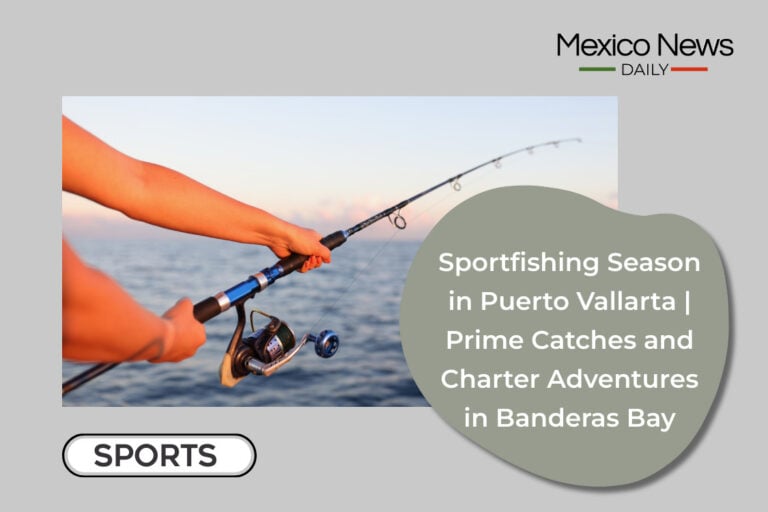 Sportfishing Season in Puerto Vallarta | Prime Catches and Charter Adventures in Banderas Bay