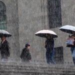 four people walking in the rain with umbrellas