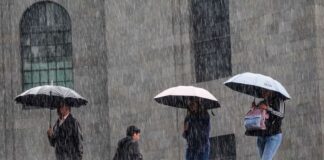 four people walking in the rain with umbrellas