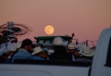 farmers proterst at night