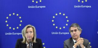 EU ambassador and human rights rep