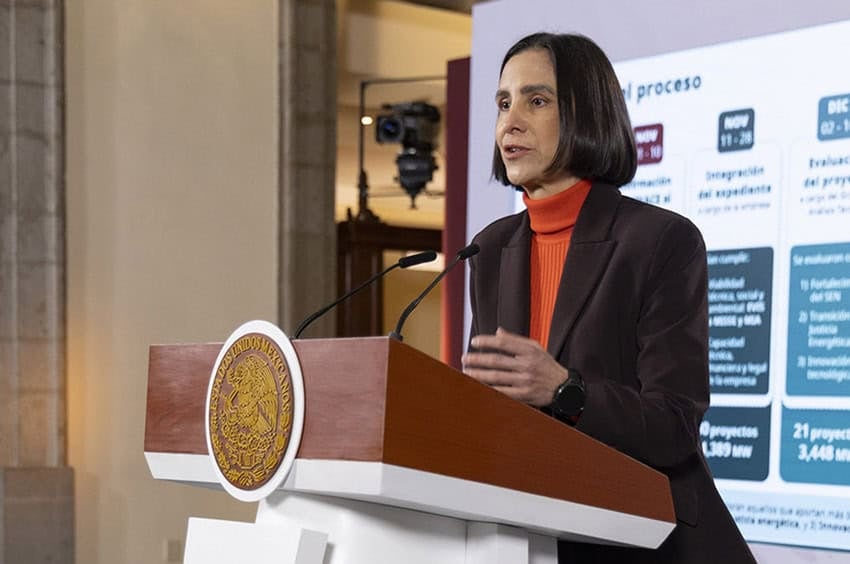 Energy Minister Luz Elena González