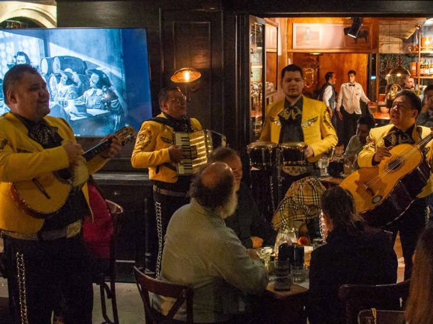 Botanero del Bosque in CDMX