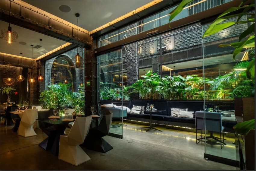 Fónico in Mexico City