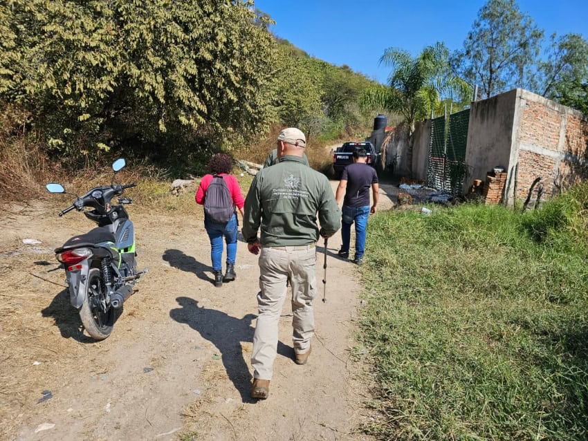 Forensic science in the search for the disappeared