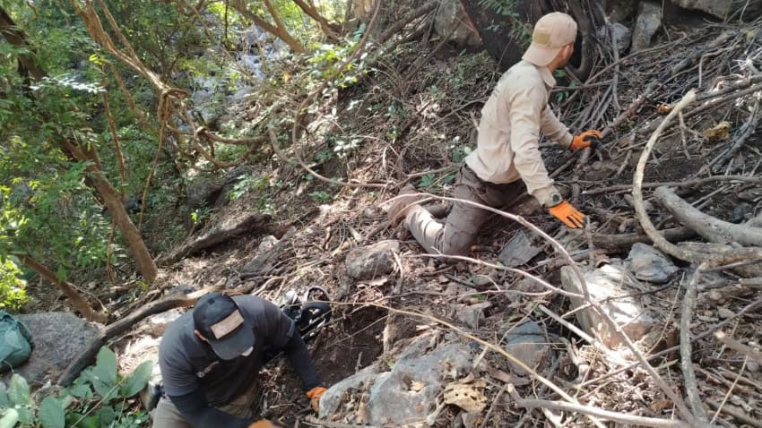 Searching for the disappeared