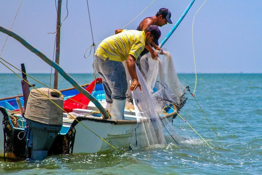 fishers in alto golfo