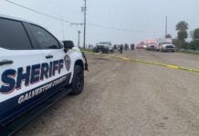 Galveston patrol car