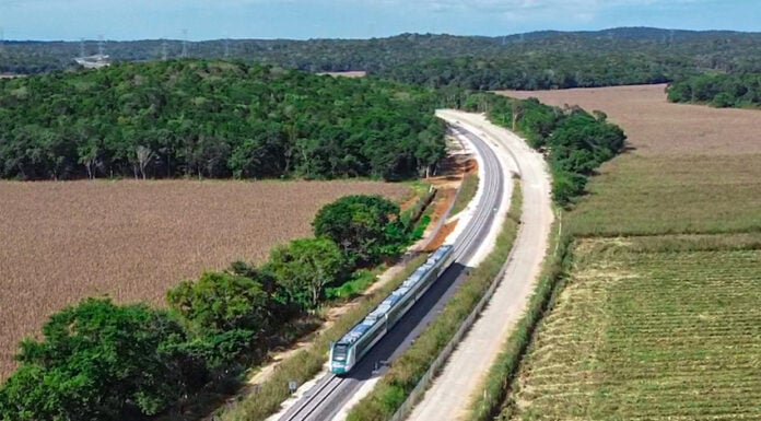 maya train