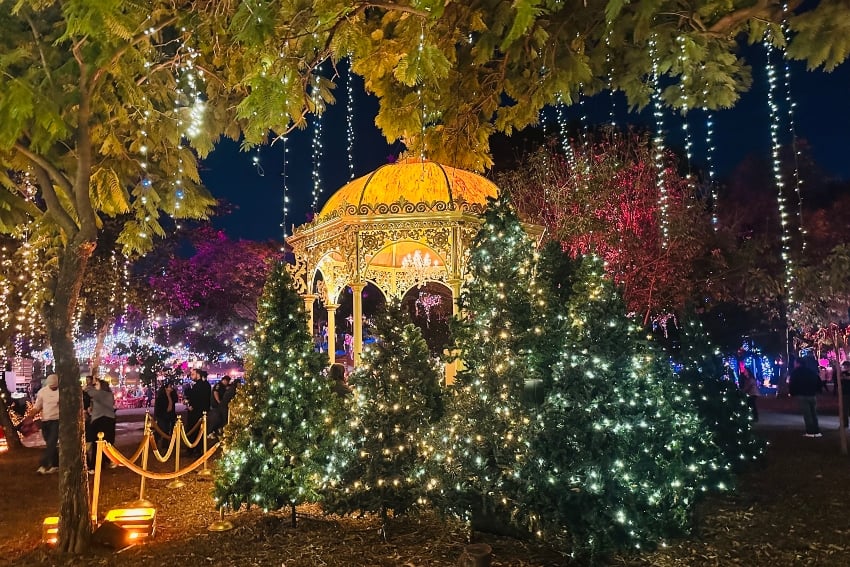 Navidalia in Guadalajara