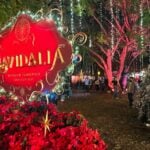 Navidalia in Guadalajara