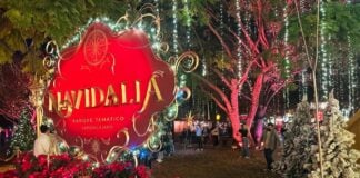 Navidalia in Guadalajara