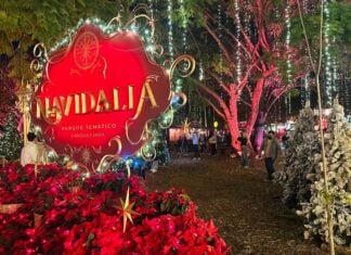 Navidalia in Guadalajara