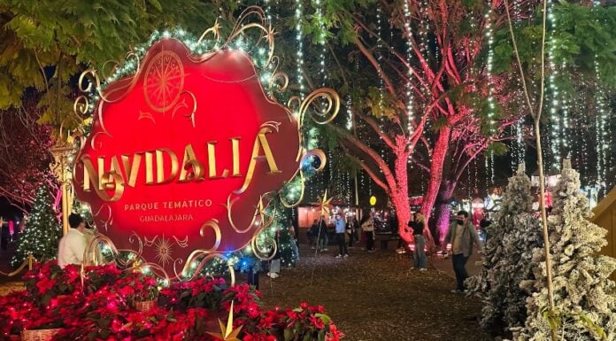Navidalia in Guadalajara
