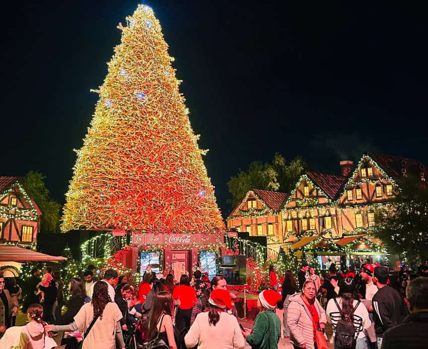 Navidalia in Guadalajara