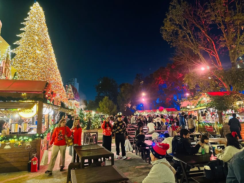 Navidalia in Guadalajara