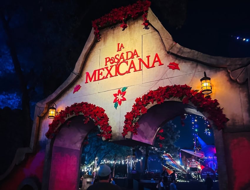 Navidalia in Guadalajara