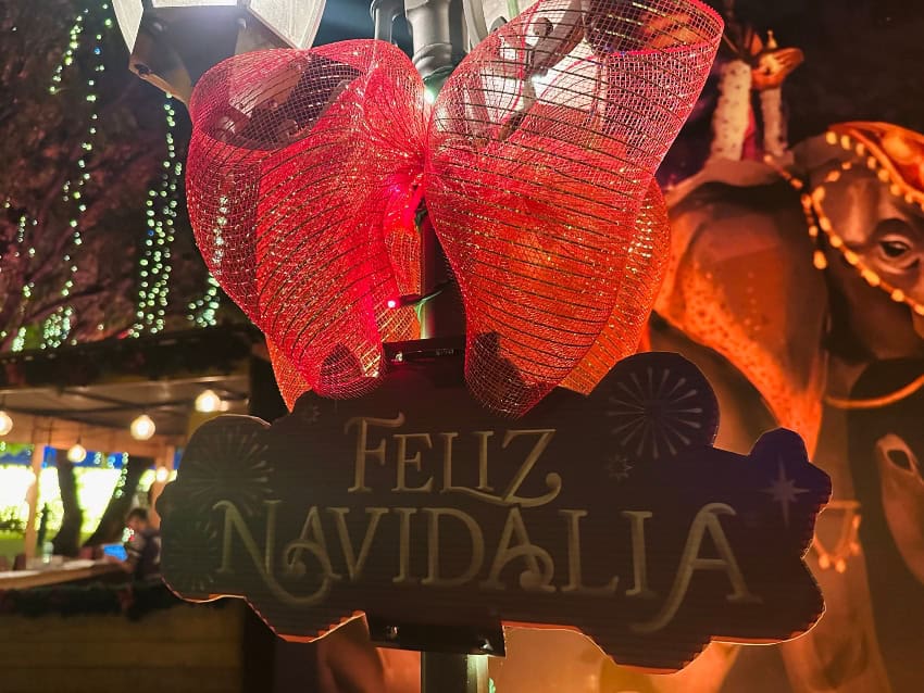 Navidalia in Guadalajara