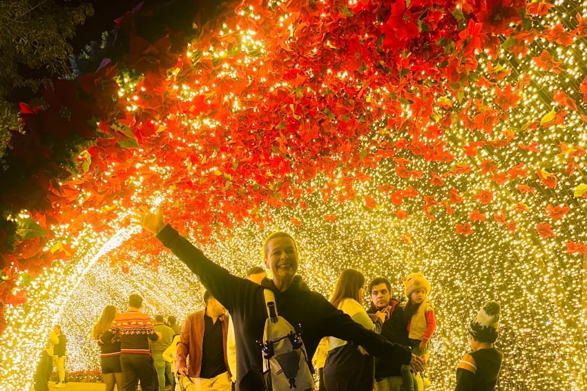 Navidalia in Guadalajara