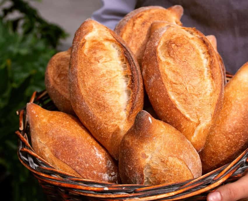 Mexico's distinctive bolillos