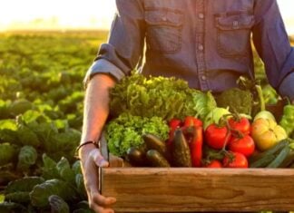 Farmer with a box full of fruits and vegetables
