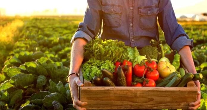 Farmer with a box full of fruits and vegetables