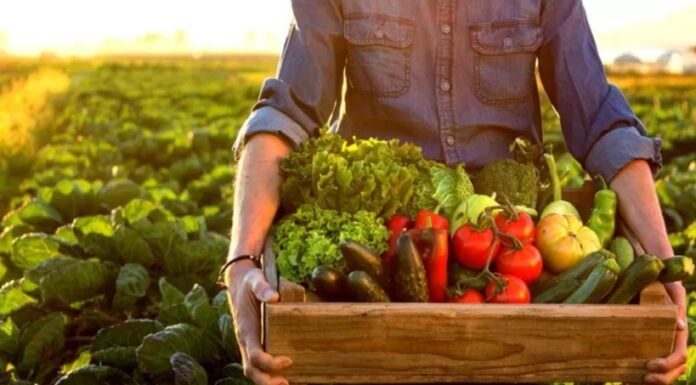 Farmer with a box full of fruits and vegetables