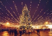 Christmas tree with lights