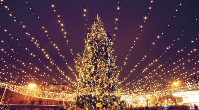 Christmas tree with lights