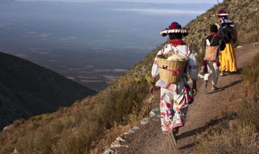 Wirárika peoples walking