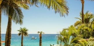 Los Cabos coastal view