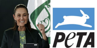 SHeinbaum adn PETA