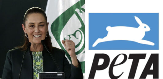 SHeinbaum adn PETA