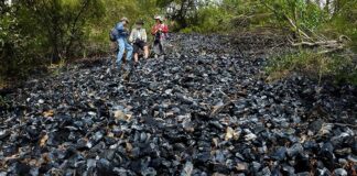 Obsidian in Jalisco