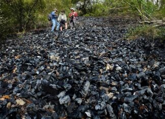 Obsidian in Jalisco
