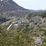 According to reports, the train traveled at excessive speed during a period of over an hour before it derailed. It is unknown whether the driver — who was arrested on Monday — was properly alerted to his speed or whether the train had any speed control mechanisms.