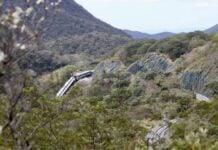 According to reports, the train traveled at excessive speed during a period of over an hour before it derailed. It is unknown whether the driver — who was arrested on Monday — was properly alerted to his speed or whether the train had any speed control mechanisms.