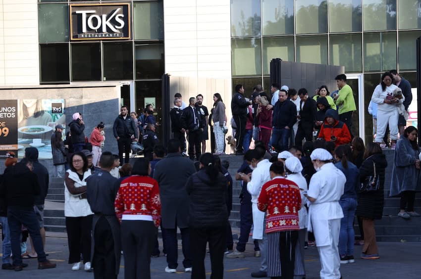 tree down on car during quake
