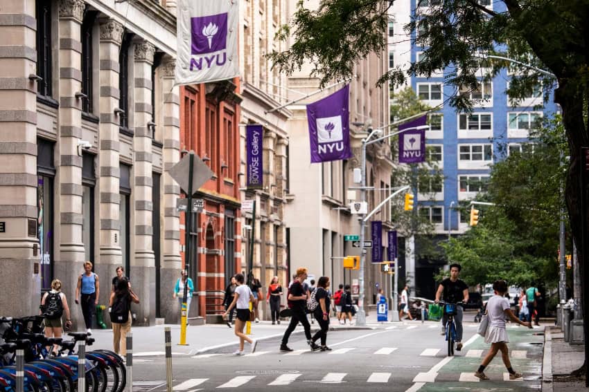 New York University