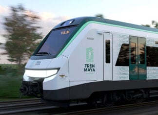 The Maya Train speeds through a forest
