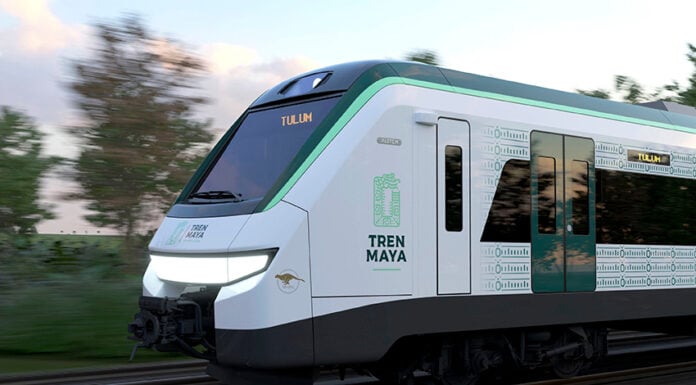 The Maya Train speeds through a forest