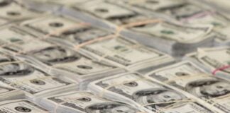 Stacks of dollar bills