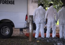 Forensic technicians in white cover-alls stand in front of a stretcher and a white van showing the word "Forense"