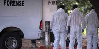 Forensic technicians in white cover-alls stand in front of a stretcher and a white van showing the word "Forense"