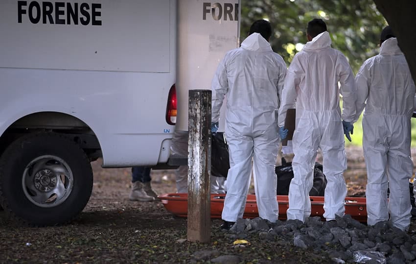 Mexico’s homicide rate dropped 30% in 2025, preliminary data shows