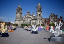 Nopalera en el Corazón exhibit in Mexico City's Zócalo