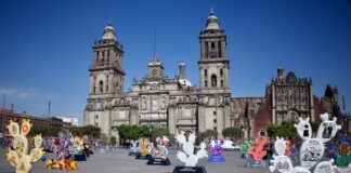 Nopalera en el Corazón exhibit in Mexico City's Zócalo