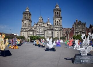 Nopalera en el Corazón exhibit in Mexico City's Zócalo