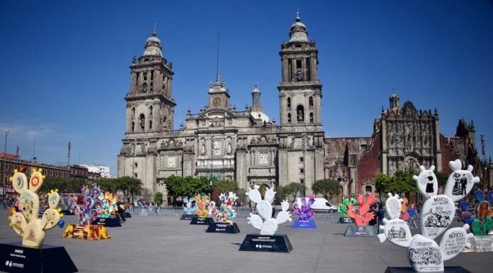 Nopalera en el Corazón exhibit in Mexico City's Zócalo