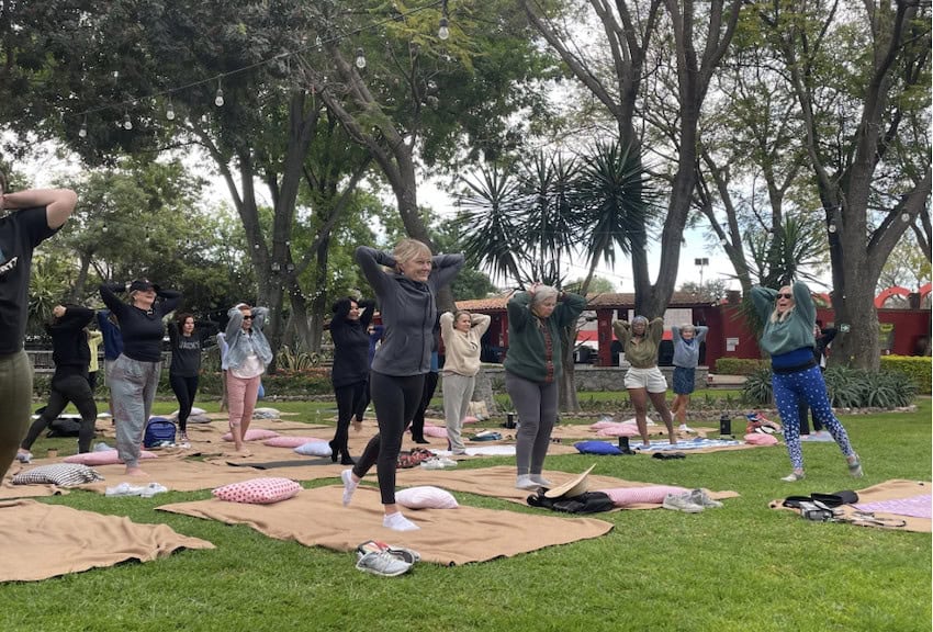 A yoga session in a park